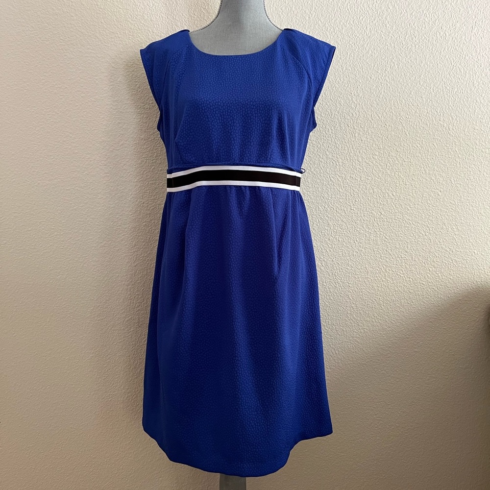 Motherhood Maternity Dress